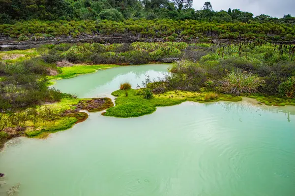 Purac, Cauca 'daki San Juan Kaplıcaları' nın güzel manzarası, yeşil suların ve yemyeşil bitki örtüsünün sergilenmesi, Kolombiya 'da doğa turizmi için ideal.