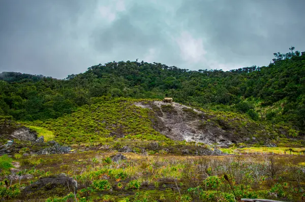 San Juan, Purac, Cauca 'daki termal yay manzarası yemyeşil bitki örtüsü ve bulutlu gökyüzünü gösteriyor.