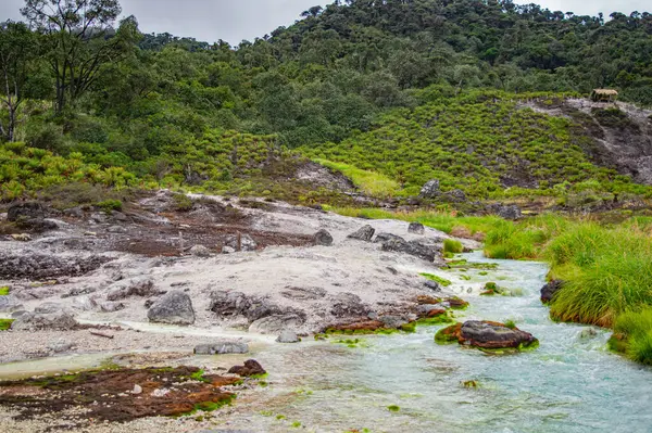 Purac, Cauca 'daki San Juan Kaplıcaları' nın nefes kesici manzarası yemyeşil ve akan termal suları gösteriyor.