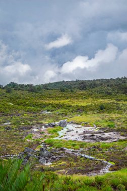 Purac, Cauca 'daki San Juan kaplıcalarının manzarası, bulutlu bir gökyüzünün altında yemyeşil ve termal suların yer aldığı