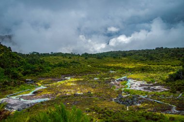 Bereketli yeşillik ve sisli gökyüzü ile çevrili San Juan, Purace 'deki termal kaynakların sakin manzarası, eko-turizm ve rahatlama için mükemmel.