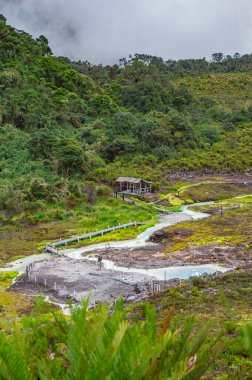 Bereketli yeşillik ve sisli gökyüzü ile çevrili San Juan, Purace 'deki termal kaynakların sakin manzarası, eko-turizm ve rahatlama için mükemmel.