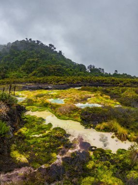 C:\ DCIM\ 100 GOPRO\ GOPRO\ GOPR436.GPR