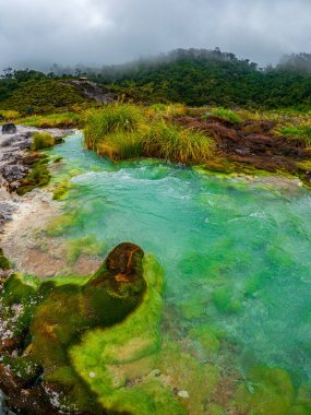 C:\ DCIM\ 100GOPRO\ GOPRO\ GOPR4354.GPR