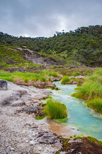 San Juan kaplıcalarının çarpıcı manzarası, turkuaz suları ve Purac, Cauca, Kolombiya 'da yemyeşil, doğa meraklıları için ideal.