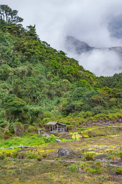 Purace, Cauca, Kolombiya 'daki San Juan Kaplıcaları' nın bereketli manzarası doğal güzellik ve sükuneti vurguluyor.