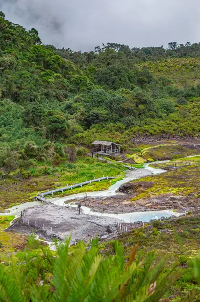 Bereketli yeşillik ve sisli gökyüzü ile çevrili San Juan, Purace 'deki termal kaynakların sakin manzarası, eko-turizm ve rahatlama için mükemmel.