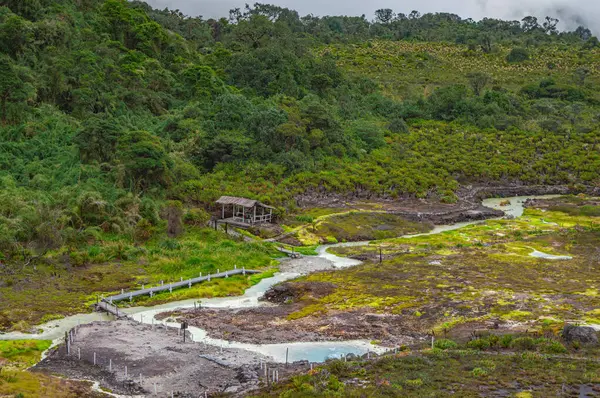 Purac, Cauca 'daki San Juan kaplıcalarının nefes kesen manzarası yemyeşil ve sakin bir termal nehir.