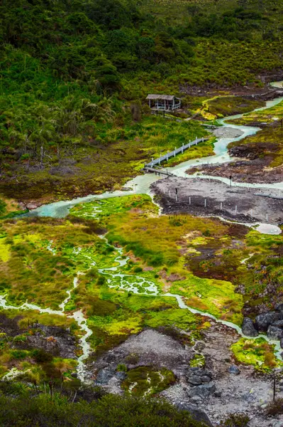 San Juan kaplıcalarının canlı bir görüntüsünde yemyeşil bitki örtüsü, termal akarsular ve Purac, Cauca, Kolombiya 'daki ahşap yollar yer alıyor.