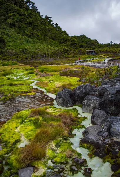 Purace, Cauca, Kolombiya 'daki San Juan kaplıcalarının çarpıcı manzarası, yemyeşil ve mineral zengini suları barındırıyor.