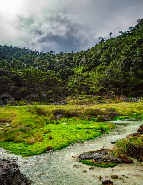Büyüleyici yeşil tepeler ve Purac, Cauca, Kolombiya 'daki San Juan Kaplıcaları' nda akan akarsu doğanın güzelliğini gözler önüne seriyor.