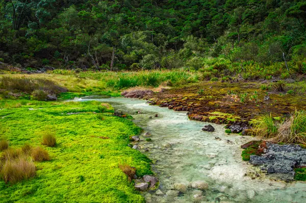 Purace, Cauca 'daki San Juan kaplıcalarının manzarası. Yeşillik ve kaynayan sular sergileniyor. Doğa aşıkları için mükemmel.