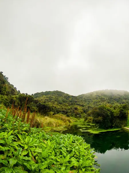 C:\ DCIM\ 100 GOPRO\ GOPRO\ GOPR4309.GPR