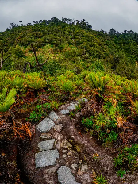 C:\ DCIM\ 100GOPRO\ GOPRO\ GOPR4362.GPR