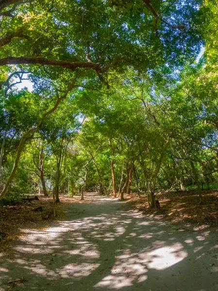 Kolombiya 'nın Rosario Adaları' nın turkuaz sularında yüzen bir teknenin huzurlu bir sahnesi. Güneş ışığı yüzey boyunca parıldıyor.