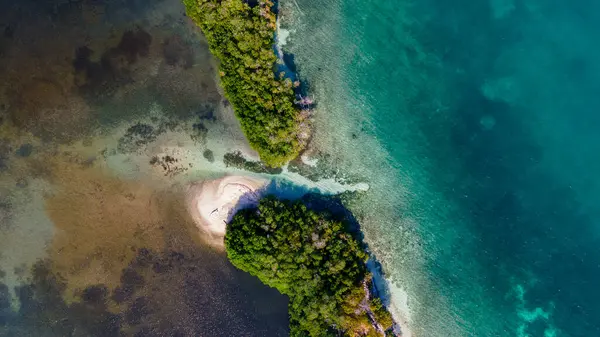 Kolombiya, Cartagena 'daki Rosario Adaları' nın göz kamaştırıcı hava görüntüleri. Yeşillik ve el değmemiş turkuaz sular sergileniyor. Turizm ve tatil için mükemmel.