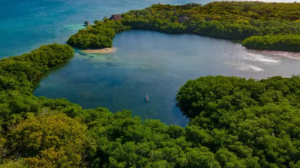 Cartagena yakınlarındaki Rosario Adaları 'nın çarpıcı hava manzarası canlı yeşillikler ve berrak mavi sular sergiliyor. Kolombiya turizmi ve tatilleri için mükemmel.