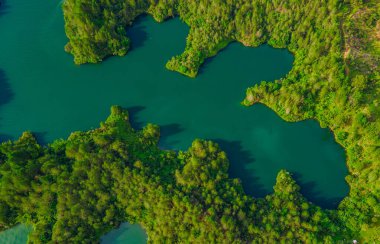 Kolombiya, Antioquia 'daki Guatape Barajı' nın turkuaz sularının ortasındaki yemyeşil adaların çarpıcı hava manzarası.