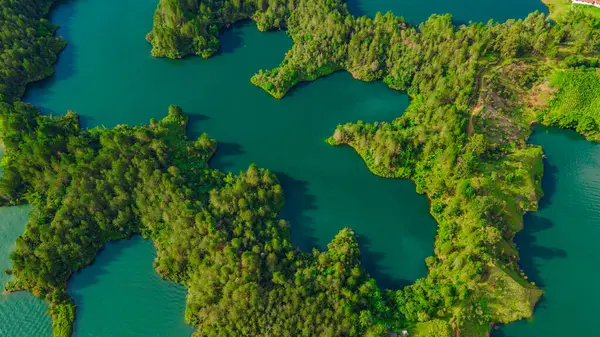 Antioquia, Kolombiya 'daki Guatape Rezervuarı' nı çevreleyen yemyeşil havanın çarpıcı görüntüsü. Büyüleyici bir su ve doğa karışımı.