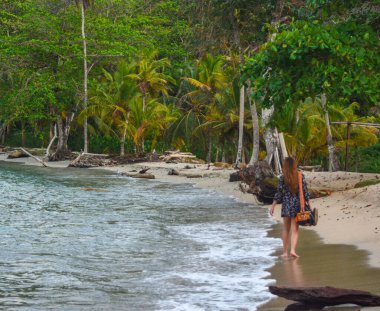 Sapzurro, Choco, Kolombiya 'da yoğun yeşil yapraklarla çevrili sakin bir orman yolu, doğa keşfi için mükemmel.