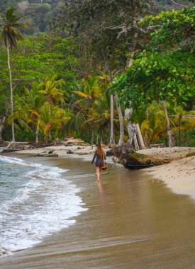 Sapzurro, Choco, Kolombiya 'da yoğun yeşil yapraklarla çevrili sakin bir orman yolu, doğa keşfi için mükemmel.