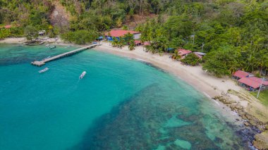 Sapzurro, Choco, Kolombiya 'da yoğun yeşil yapraklarla çevrili sakin bir orman yolu, doğa keşfi için mükemmel.