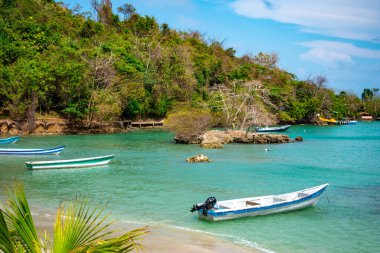 Sapzurro, Choco, Kolombiya manzarası. Yeşillik, durgun sular ve kıyıda dinlenen renkli tekneler.