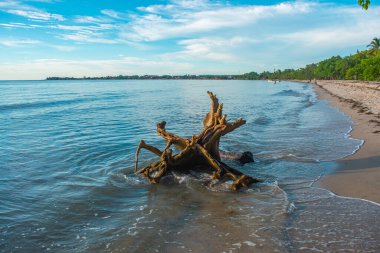Rincon del Mar, Sucre, Kolombiya 'da sakin bir sahil manzarası, kıyıda bir akıntılı ağaç yapısı ve berrak bir gökyüzü altında sakin sular.