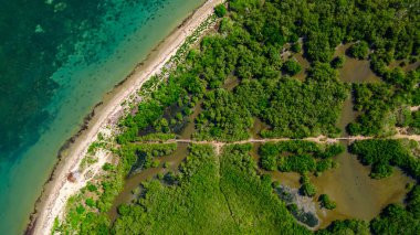 Büyüleyici hava manzarası Rincon del Mar, Sucre, Kolombiya 'nın yemyeşil ve kıyı şeritlerini gösteriyor, doğa severler ve turistler için mükemmel.