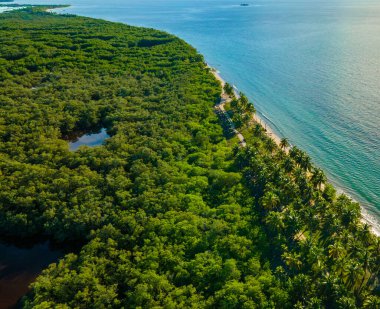Göz kamaştırıcı hava manzarası Rincn del Mar, San Onofre ve Karayip Denizi 'nin dingin mavi sularını yakalıyor.