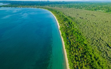 Aerial view of the lush coastline of Rincon del Mar, showcasing the vibrant green landscape meeting the turquoise ocean