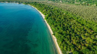 Rincon del Mar, Sucre, Kolombiya 'nın el değmemiş plajını ve yemyeşil yeşilliğini sergiliyor.