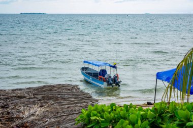 Rincon del Mar, Sucre, Kolombiya 'da yemyeşil ve sakin sularla çevrili bir teknenin kıyıya yaklaştığı huzurlu bir manzara.