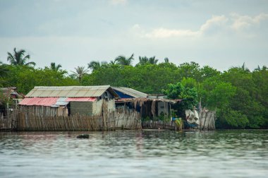 Rincon del Mar, Sucre, Kolombiya 'da yemyeşil sularla çevrili kır evleri manzaralı.