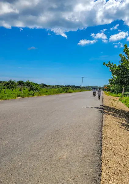 Rincon del Mar, Sucre, Kolombiya 'da yemyeşil ve açık mavi gökyüzü ile sakin bir kırsal yol sahnesi.