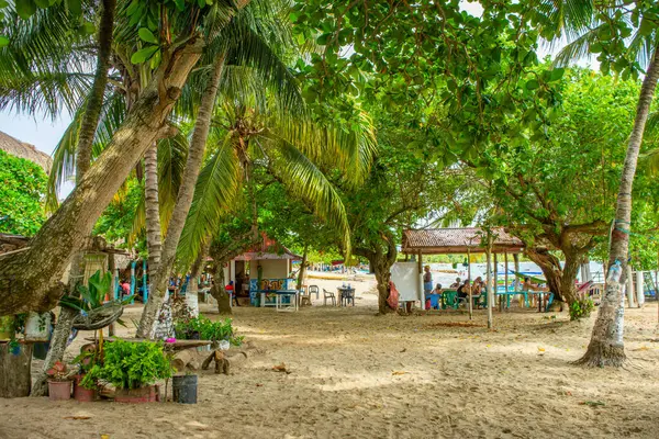 Kolombiya, Rincon del Mar 'da sakin bir sahil sahnesi, bereketli palmiye ağaçları, kumlu bir alan ve dinlenmek için rahat yerler.