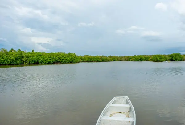 Rincon del Mar 'da yakalanan bu sakin nehir manzarası bulutlu gökyüzü altında yemyeşil mangrovlar, eko-turizm ve rahatlama için mükemmel.