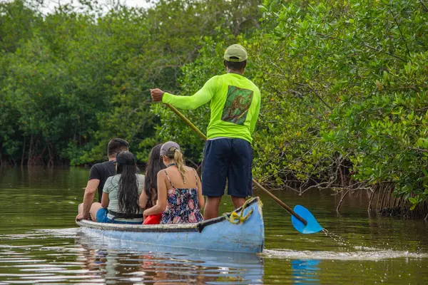 Bir grup turist Rincon del Mar, Sucre, Kolombiya yakınlarındaki yemyeşil mangrovlarda kanoyla geziyorlar.