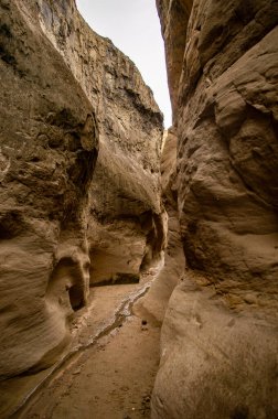 Tatacoa Çölü, Huila, Kolombiya 'da eşsiz kaya oluşumları ve dokuları sergiliyor.