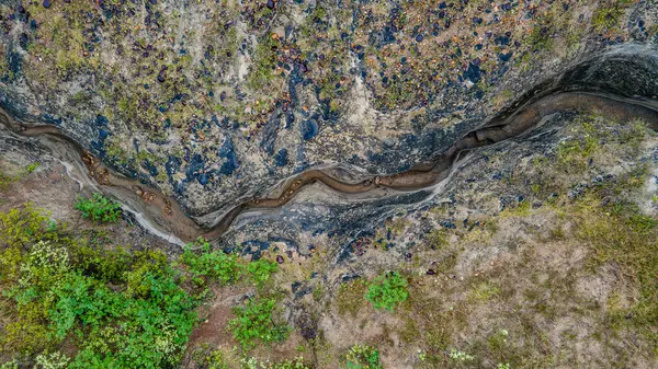 Çarpıcı hava görüntüleri Tatacoa Çölü, Huila, Kolombiya 'nın eşsiz topografisini sarmal su kanalları ve zengin bitki örtüsüyle gösteriyor.