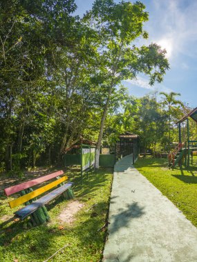 Leticia, Amazonlar 'da palmiye ağaçları ve canlı yeşilliklerle kaplı manzaralı bir tropikal şerit Kolombiya' nın Amazon yağmur ormanlarının doğal güzelliklerini gözler önüne seriyor..