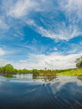 Leticia, Amazonlar 'da palmiye ağaçları ve canlı yeşilliklerle kaplı manzaralı bir tropikal şerit Kolombiya' nın Amazon yağmur ormanlarının doğal güzelliklerini gözler önüne seriyor..