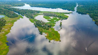 Amazon Nehri 'nin çarpıcı hava manzarası Leticia, Kolombiya' daki yemyeşil tropikal ormanlarda dolaşırken canlı biyolojik çeşitlilik sergiliyor..
