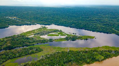 Amazon Nehri 'nin çarpıcı hava manzarası Leticia, Kolombiya' daki yemyeşil tropikal ormanlarda dolaşırken canlı biyolojik çeşitlilik sergiliyor..