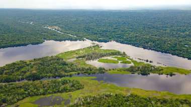 Amazon Nehri 'nin çarpıcı hava manzarası Leticia, Kolombiya' daki yemyeşil tropikal ormanlarda dolaşırken canlı biyolojik çeşitlilik sergiliyor..