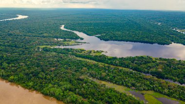 Amazon Nehri 'nin çarpıcı hava manzarası Leticia, Kolombiya' daki yemyeşil tropikal ormanlarda dolaşırken canlı biyolojik çeşitlilik sergiliyor..