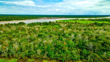 Leticia, Kolombiya 'nın çarpıcı hava perspektifi, canlı evler ve yemyeşil bitki örtüsüyle çevrili Amazon Nehri kıyıları.
