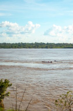 Suya batırılmış bir kaymanın yakın plan çekimi karmaşık pullarını Leticia, Kolombiya 'daki Amazon yağmur ormanlarının zengin biyolojik çeşitliliğinde sergiliyor..