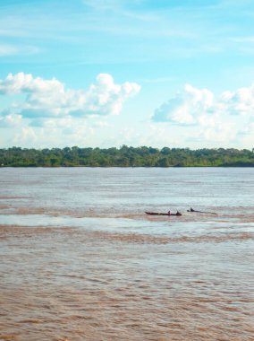 Suya batırılmış bir kaymanın yakın plan çekimi karmaşık pullarını Leticia, Kolombiya 'daki Amazon yağmur ormanlarının zengin biyolojik çeşitliliğinde sergiliyor..