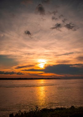 Suya batırılmış bir kaymanın yakın plan çekimi karmaşık pullarını Leticia, Kolombiya 'daki Amazon yağmur ormanlarının zengin biyolojik çeşitliliğinde sergiliyor..